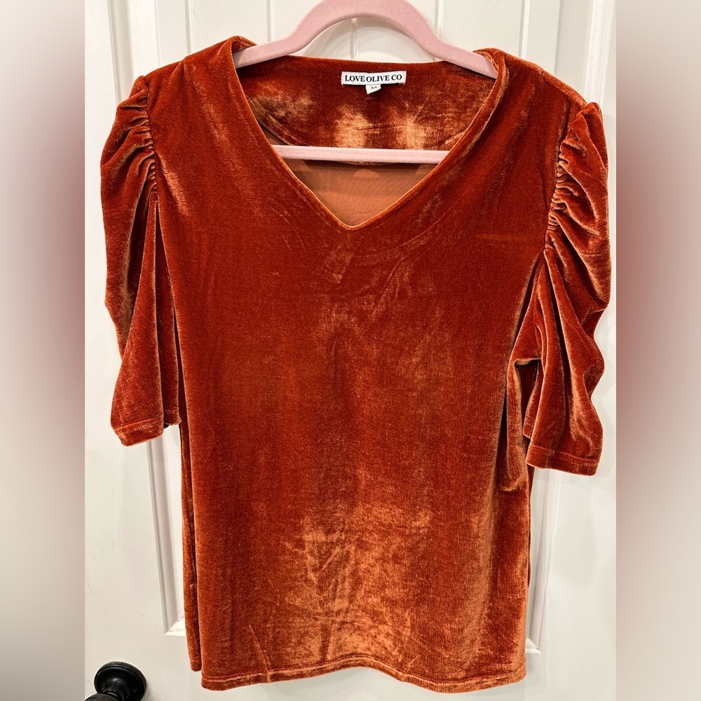 Love Olive Co Velvet Rust V-Neck Top Puff Sleeve M